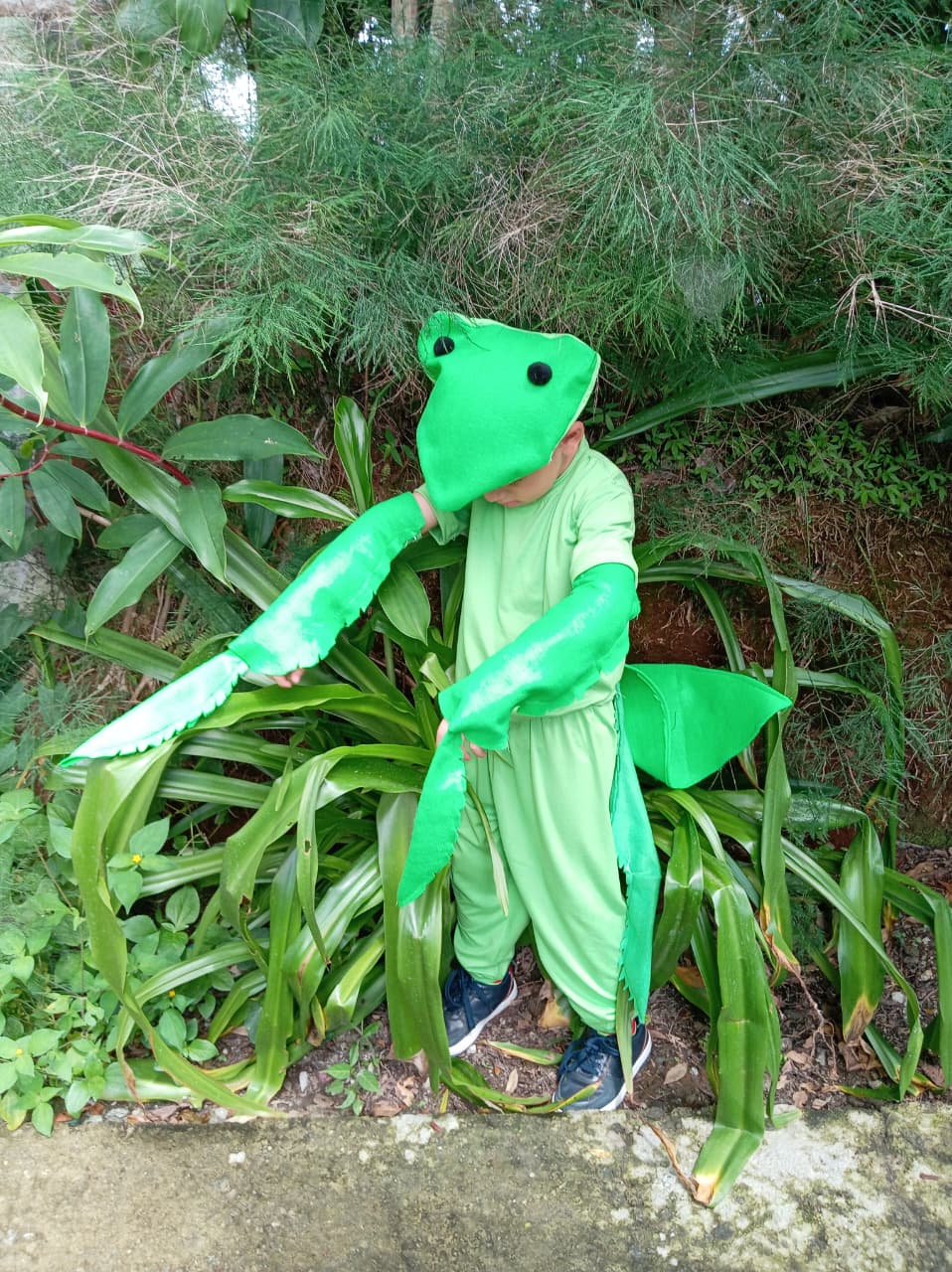 Traje Pokemon Scyther